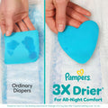 Pampers ZZZ Overnight Diapers, Size 7, Nighttime Protection Disposable Baby Diaper, 1 Pack (Count of 36) 🍁 All In One Marketplace Canada