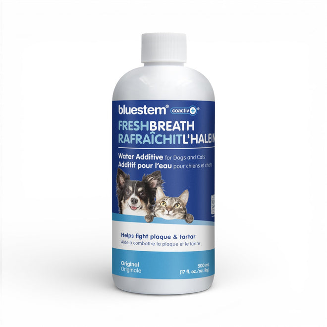 bluestem Dental Care Water Additive for Dogs & Cats – No Brushing Daily Teeth Cleaner – Pet Oral Rinse to Freshen Breath & Help Reduce Plaque – Flavorful & Easy Oral Hygiene (500 ml, Original) 🍁 All In One Marketplace Canada