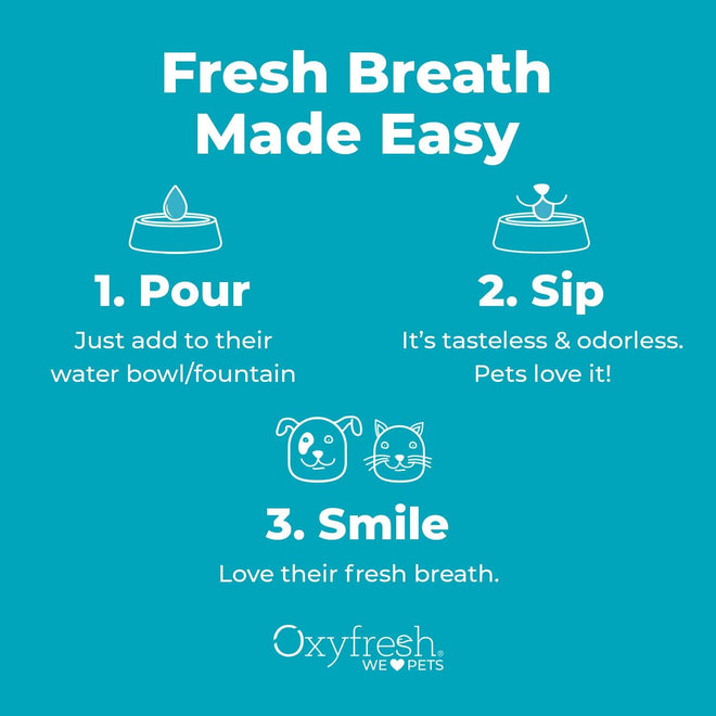 Oxyfresh Premium Pet Dental Care Solution Pet Water Additive: Best Way to Eliminate Bad Dog Breath and Cat Bad Breath - Fights Tartar & Plaque - So Easy, Just Add to Water! Vet Recommended 16 oz. 🍁 All In One Marketplace Canada