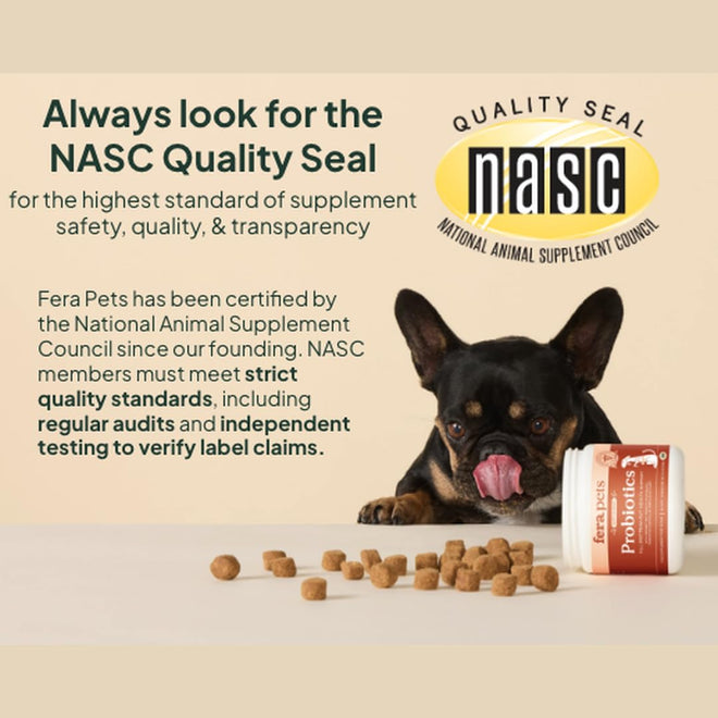Fera Pets Turkey Tail Mushroom for Dogs & Cats - USDA Organic Supplement - Cognitive and Immune Support - Enhances Liver Function - Supports a Healthy Gut - Powder - 120 Scoops 🍁 All In One Marketplace Canada