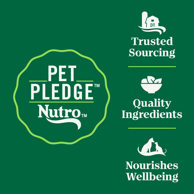 Nutro Wholesome Essentials Adult Dry Cat Food, Chicken Flavour, 1.36kg 🍁 All In One Marketplace Canada