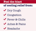 Buckley's Complete Syrup for Cough, Cold & Flu Relief, 250 mL (Packaging May Vary) 🍁 All In One Marketplace Canada