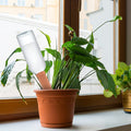 Fu Store 10PCS Plant Watering Stakes Automatic Plant Drippers Waterers for Vacations Plant Watering Devices Terracotta Self Waterinq Spikes for Wine Bottles Great for Indoor Outdoor Plants 🍁 All In One Marketplace Canada