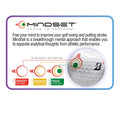 Bridgestone Golf e12 Straight White 🍁 All In One Marketplace Canada