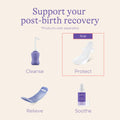 Lansinoh Postpartum Maxi Pads Bundle, 40 Count 🍁 All In One Marketplace Canada