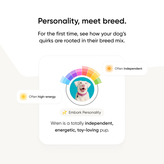 Embark Breed Identification Kit Most Accurate Dog DNA Test Test 350+ Dog Breeds Breed ID Kit with Ancestry & Family Tree 🍁 All In One Marketplace Canada