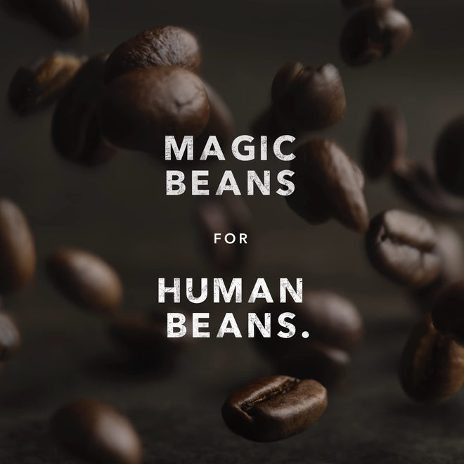 Kicking Horse Coffee, Kick Ass, Dark Roast, Whole Bean, 1 lb - Certified Organic, Fairtrade, Kosher Coffee 🍁 All In One Marketplace Canada
