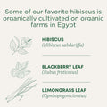 Traditional Medicinals - Organic Hibiscus Herbal Tea (Pack of 6) - Fair Trade Ingredients - Tart, Tangy and Fruity - 96 Tea Bags Total 🍁 All In One Marketplace Canada