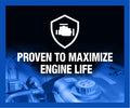Zerex Asian Vehicle Blue Silicate and Borate Free 50/50 Prediluted Ready-to-Use Antifreeze/Coolant 1 GA 🍁 All In One Marketplace Canada