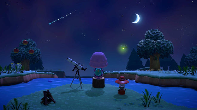 Animal Crossing: New Horizons (CAN Version) 🍁 All In One Marketplace Canada