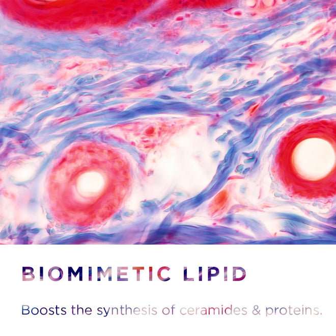 Bioderma- Sensibio AR+ Cream- Treatment for redness, visible capillaries, and uncomfortable sensations, providing both immediate and long-lasting relief 🍁 All In One Marketplace Canada