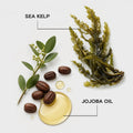 Joico Moisture Recovery Conditioner for Thick Coarse Hair, Moisturizing and Conditioning for Dry Damaged Hair with Keratin 🍁 All In One Marketplace Canada