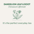 Traditional Medicinals - Organic Dandelion Leaf and Root Herbal Tea (Pack of 6) - 96 Tea Bags Total 🍁 All In One Marketplace Canada