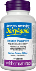 Webber Naturals Dairy Again Lactase Enzyme, 60 Capsules 🍁 All In One Marketplace Canada