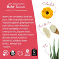 Earth Mama - Simply Non-Scents Baby Lotion for Dry Skin - 240 ml 🍁 All In One Marketplace Canada