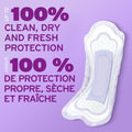 Poise Postpartum Incontinence Pads, Moderate Absorbency, Regular Length, 132 Count (2 Packs of 66) 🍁 All In One Marketplace Canada