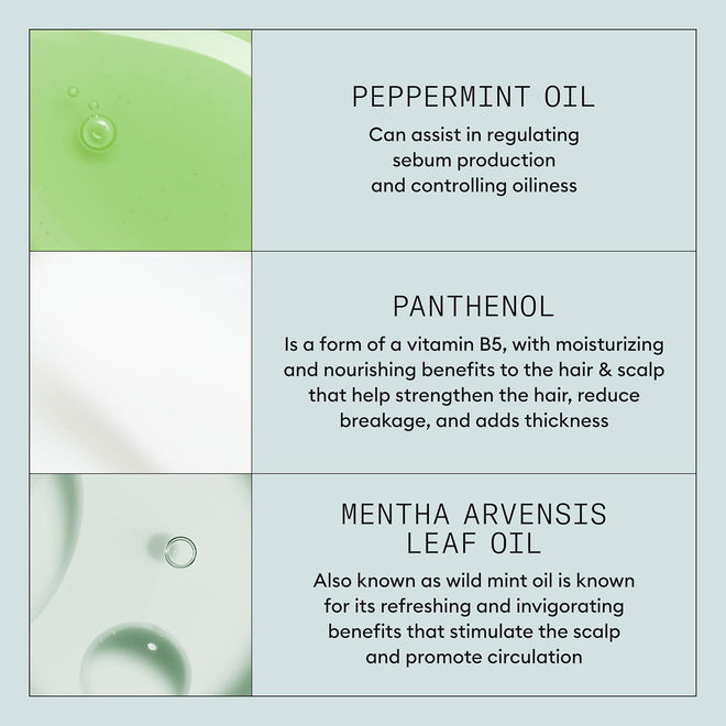 Nioxin Density Defend Styling Root Lifting Spray | Hair Thickening Spray | Texturizes and Volumizes| 5.1 Fl Oz | 150 ml 🍁 All In One Marketplace Canada