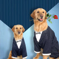 Daddy’s Boy Suit