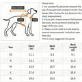 Priscilla Dog Dress | Designer Pet Dress