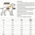 Blake Dog Hoodie | Dog Hoodie for Cold Weather