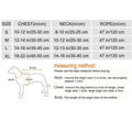 Brittany Dog Harness & Leash Set | Rhinestone Dog Walking Set