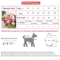 Luxury Plaid Dog Harness and Leash Set | Dog Walking Outfit
