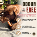 6 Inch Jumbo Bully Stick