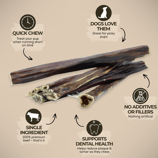 6 Inch Beef Jerky Stick