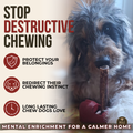 5-6 Inch Champion Chew