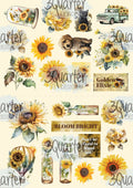 Sunflower Elixir 6x4 card pack