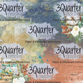 Incredible Journeys 6x6 Pack