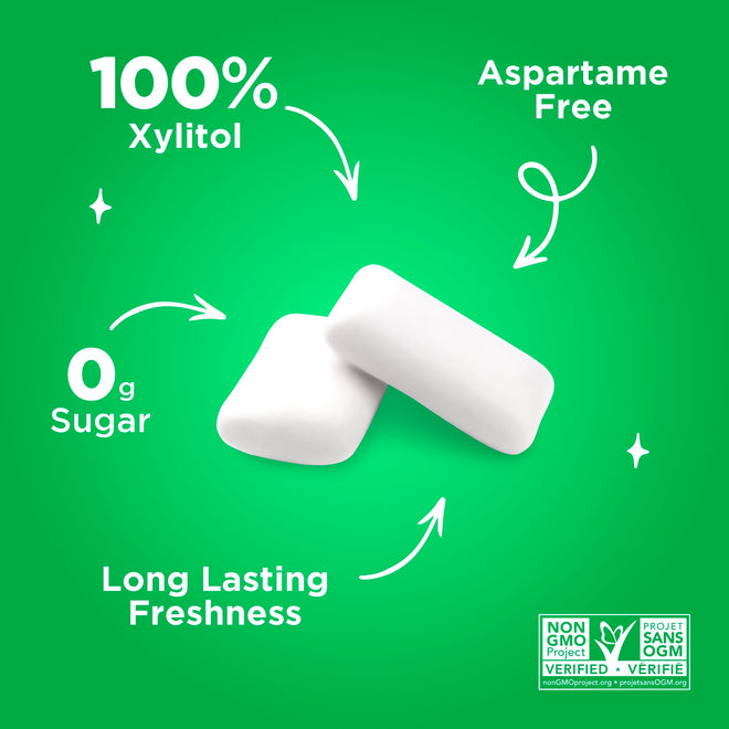 PUR Gum | Aspartame Free Chewing Gum | 100% Xylitol | Natural Spearmint Flavoured Gum, 55 Pieces (Pack of 6) 🍁 All In One Marketplace Canada