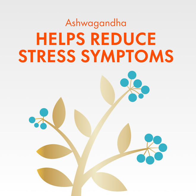 Align Probiotic, Bloating + Digestive Stress Relief, Probiotic for Women and Men with Ashwagandha, Helps Relieve Symptoms of IBS such as Bloating, Gas, and Abdominal Discomfort, 28 Capsules 🍁 All In One Marketplace Canada