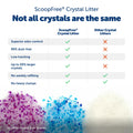 PetSafe ScoopFree Premium Fresh Crystal Cat Litter, 3-Pack – Lightly Scented Litter – Superior Odor Control – Low Tracking for Less Mess – Lasts Up to 6 Months, 24 lbs Total (3 Pack of 8 lb Bags) 🍁 All In One Marketplace Canada