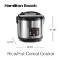 Hamilton Beach Digital Programmable Rice Cooker & Food Steamer, 14 Cups Cooked (7 Cups Uncooked), Stainless Steel, Steam & Rinse Basket, Delay Start, Model 37548MN 🍁 All In One Marketplace Canada