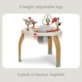 Tiny Love 5-in-1 Here I Grow Stationary Activity Center - Boho Chic 🍁 All In One Marketplace Canada