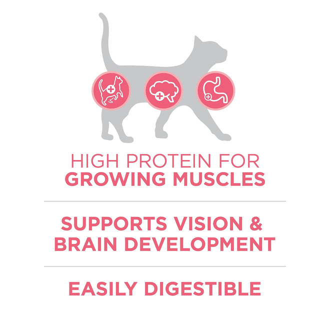 Purina ONE +Plus Dry Kitten Food, Healthy Kitten with Chicken 3kg 🍁 All In One Marketplace Canada