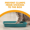 ARM & Hammer Cat Litter Deodorizer Double Duty, 20 oz, 6 Pack 🍁 All In One Marketplace Canada