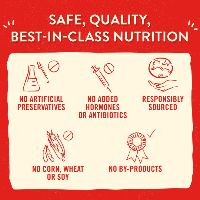Stella & Chewy’s Lil’ Bites for Small Breed Dogs – Itty Bitty Beef Recipe – Protein Rich, Grain Free Dog & Puppy Treat – Great Meal or Snack for Training & Rewarding – 198g Bag 🍁 All In One Marketplace Canada