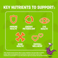 FLINTSTONES Kids Multivitamin Gummies Plus Immunity Support- Multivitamins for Kids, Kids Gummy With Zinc and Extra Vitamin C‡, Free of Artificial Sweeteners, Free of Aspartame, Free of Synthetic FD&C Dyes, 180 Gummies 🍁 All In One Marketplace Canada