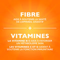 Metamucil, Fibre + Metabolism Gummy Supplement for Digestive Health, Plant Based, No Sugar Added, Citrus Berry Flavored, 72 Gummies 🍁 All In One Marketplace Canada