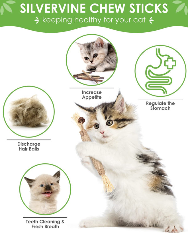TINDTOP Silvervine Sticks for Cats, 10 Pack Natural Catnip Chew Toys for Kittens Teeth Cleaning, Matatabi Dental Care, Increase Appetite, Calm Cat Anxiety and Stress, Aggressive Chewers Cat Dental Toy 🍁 All In One Marketplace Canada