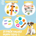 Puppy Toys 21 Pack, Small Dog Chew Toys with Rope Toys for Teething Pet Cute Squeak Toy with Treating Ball for Puppy, Small Dogs 🍁 All In One Marketplace Canada