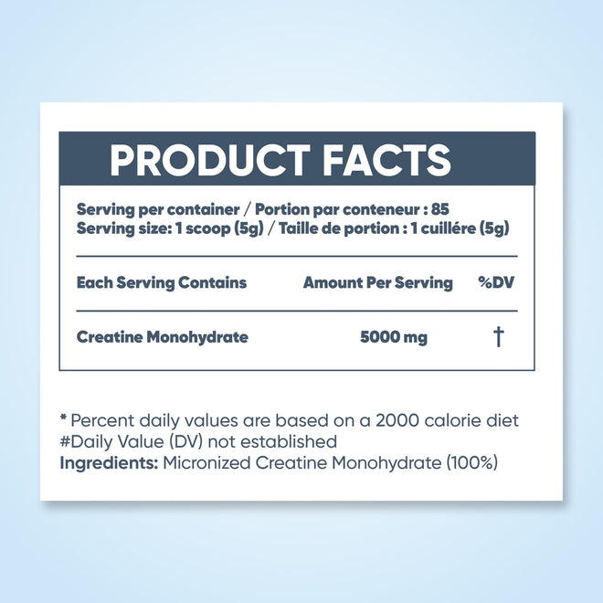 Pure Micronized Creatine Dissolves Easily | Creatine Monohydrate Powder 425g - For Increased Muscle Growth & Performance - Supports Athletic Performance - Creatine Powder for Workouts - 85 Servings 🍁 All In One Marketplace Canada