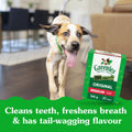 Greenies Adult Dog Treats, 765g 🍁 All In One Marketplace Canada