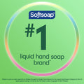 Softsoap Liquid Hand Soap Refill, Soothing Clean, Aloe Vera Fresh Scent - 1 Gallon 🍁 All In One Marketplace Canada