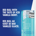 Red Bull Energy Drink, Iced Vanilla Berry, 250ml (24 pack) 🍁 All In One Marketplace Canada
