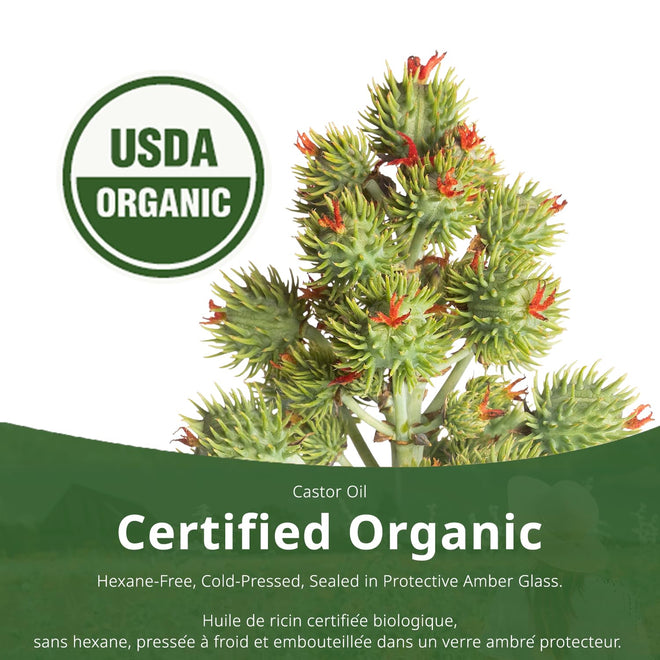 ST FRANCIS HERB FARM Castor Oil (500ml) USDA Certified Organic, Cold Pressed, Hexane-Free, GMO Free, Vegan, Vegetarian, Sealed in Protective Amber Glass (1 Bottle) Hair, Skin, and Nail Care 🍁 All In One Marketplace Canada
