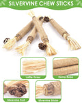 TINDTOP Silvervine Sticks for Cats, 10 Pack Natural Catnip Chew Toys for Kittens Teeth Cleaning, Matatabi Dental Care, Increase Appetite, Calm Cat Anxiety and Stress, Aggressive Chewers Cat Dental Toy 🍁 All In One Marketplace Canada
