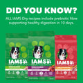IAMS Proactive Health Minichunks Dry Dog Food – Crunchy Kibble for Adult Dogs – Chicken & Whole Grain Recipe – 13.61KG (30LB) Bag 🍁 All In One Marketplace Canada